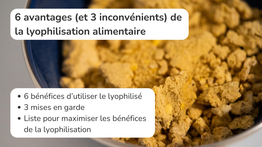 6 avantages (et 3 inconvénients) de la lyophilisation alimentaire