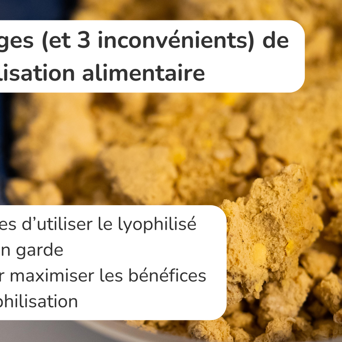 6 avantages (et 3 inconvénients) de la lyophilisation alimentaire