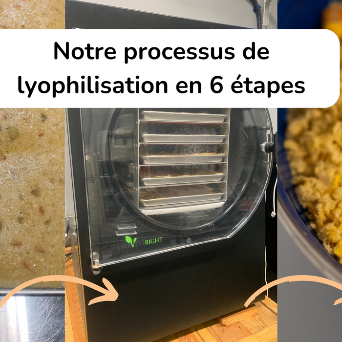 Le processus de la lyophilisation expliqué en 3 images: produit frais, on le met au lyophilisateur et tout est sec par la suite