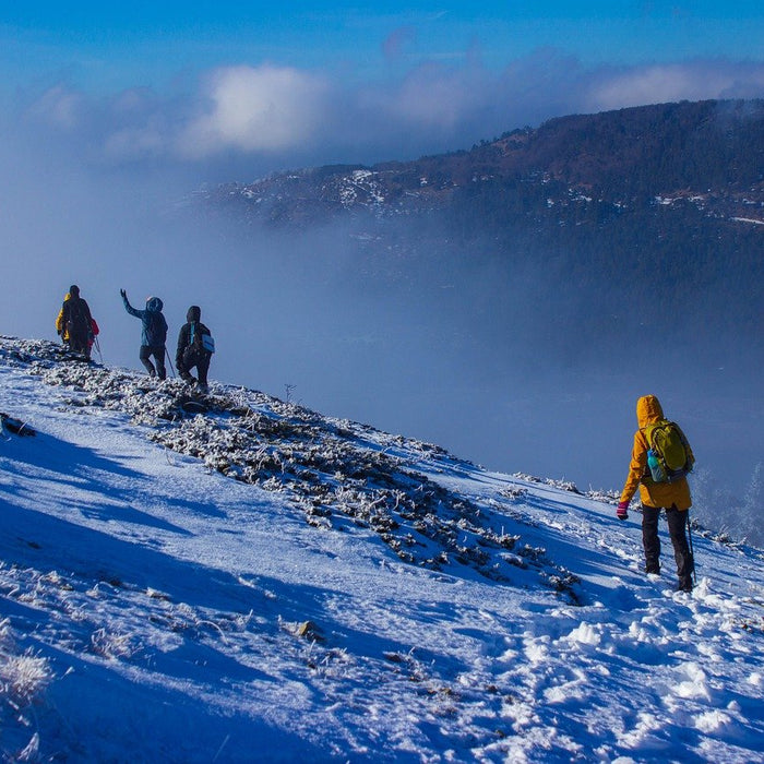 Randonnée hivernale: 5 items intéressants